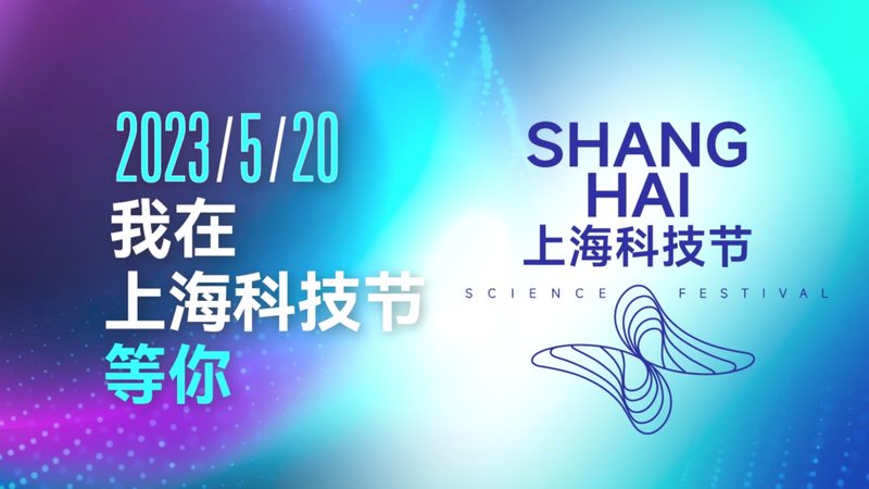解码互联网技术：教学视频精选指南
